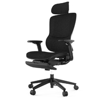 Chaise de bureau d'ordinateur Support lombaire Chaise ergonomique en maille de bureau exécutif avec repose-pieds réglables