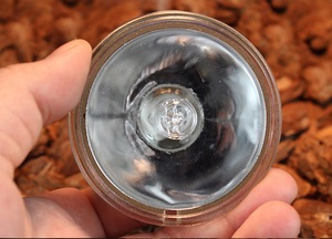 Chất lượng cao kích thước lớn Halogen bò sát ánh sáng UVA UVB bóng đèn nhiệt cho loài bò sát - Product Image 5