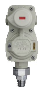 Regulador de Presión de Gas LPG de Marca Japonesa – Cambio Automático, Reductor de Baja Presión, Alta Fiabilidad - Product Image 2