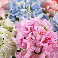 Hydrangeas artificiels réalistes en gros pour la décoration de la maison, du salon, des festivals, Noël, le Nouvel An et les accessoires de photographie