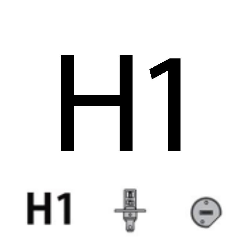 H1