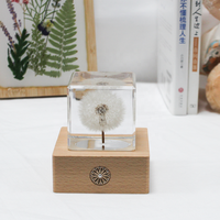 Lampe de nuit LED en cristal de fleur de pissenlit naturelle séchée, écologique et polie, cadeaux et artisanat