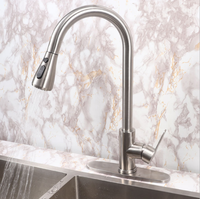 Robinet de cuisine et de salle de bain moderne à poignée unique en acier inoxydable avec douchette latérale, finition nickel brossé, cartouche céramique, monotrou