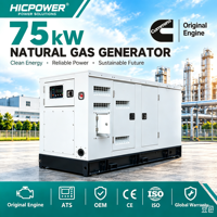 Groupe électrogène Cummins 75 kW 93,75 KVA au GNC, GNL, GPL, biogaz, gaz de pétrole naturel, pour pipeline, dépon de déchets, eaux usées, triphasé, pour champ pétrolier, OEM ODM