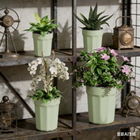 Pot de fleurs en céramique auto-arrosant avec design transparent de contrôle des racines, jardinière hydroponique écologique pour succulentes et plantes