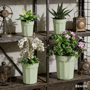 Pot de fleurs en céramique auto-arrosant avec design transparent de contrôle des racines, jardinière hydroponique écologique pour succulentes et plantes - Product Image 5