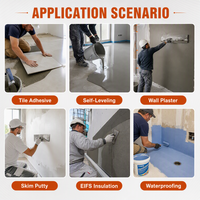 Fabricant professionnel de poudre polymère redispersible RDP VAE pour mortier sec, enduit mural, adhésif pour carrelage céramique