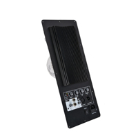 Módulo de Placa Amplificadora de Potencia Accuracy Pro Audio APB 450W para Altavoz de 15 Pulgadas, Salida de 4 Núcleos, Bi-amp Clase H, con Bluetooth