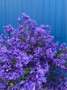 Promotion : Arbre artificiel en fleurs de soie, cerisier violet, centre de table pour décoration de mariage - Product Image 3