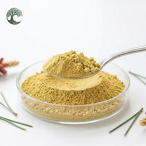 Wholesale 1kg Food Grade Pine Pollen Powder 99% Cell Wall Cracked Herbal Extract with <strong>Protein</strong> Drum Packaging - Product Image 4