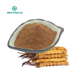 B.c. I menyediakan serbuk ekstrak Cordyceps Sinensis hijau alami murni 30% Untuk kapsul