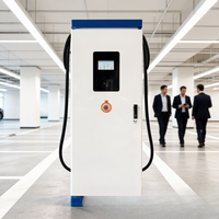 Nueva Estación de Carga Comercial para Vehículos Eléctricos 240kW CCS2 Gun OCPP 1.6J, Solución de Estacionamiento para Flotas con Conector Dual Independiente Jinghu TA-DC-FD