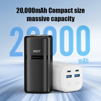 Batterie Li-Polymère Ultra Fine Haute Capacité 20000mAh avec Charge Rapide 70W et Double Entrée USB Type-C – Power Bank
