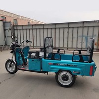 Tricycle électrique Dudu pliable à 3 roues, mini tricycles électriques pour la mobilité, à vendre, passagers adultes
