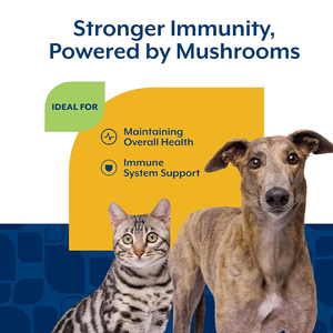 Formule vétérinaire Reishi, Queue <span class=keywords><strong>de</strong></span> dinde, Crinière <span class=keywords><strong>de</strong></span> <span class=keywords><strong>lion</strong></span> – Complément à mâcher pour chien pour le soutien immunitaire, renforcement <span class=keywords><strong>de</strong></span> l'immunité, santé digestive et cutanée - Product Image 5
