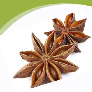 Anís Estrellado al por Mayor <span class=keywords><strong>con</strong></span> Tallos, Piezas Secas, Especia Aromática China para Cocinar, Se Acepta OEM - Product Image 3