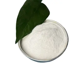 批发食品级CAS 3081-61-6 L茶氨酸纯L-茶氨酸粉低价