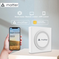 Matter Bridge compatible con Apple Homekit Smart Home Hub para dispositivos de protocolo Matter integrados con Thread Wifi Router Gateway