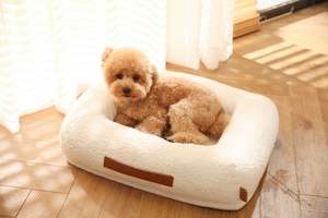 Cama Ortopédica Lavable para Perros, Cama para Mascotas de Tela Bouclé Blanca Premium - Product Image 2