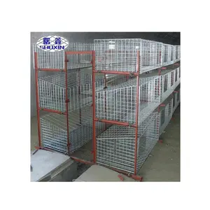 H型自动鸡肉鸡运输笼，带喂食器，用于尼日利亚的家禽养殖场