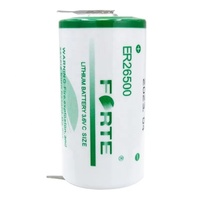 Batterie au lithium intelligente CKXIC ER26500 3.6V pour compteur d'eau, compteur de gaz, débitmètre RAM, compteur PLC