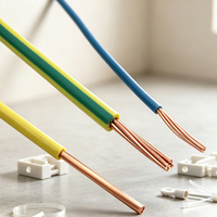 Câble électrique BV 1,5-16 mm, câble en cuivre PVC monobrin pour installation domestique