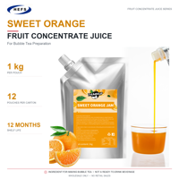 Échantillon Gratuit Purée de Jus Concentré Sac de 1kg pour Propriétaires de Marques Uniquement 10 Saveurs Vente en Gros B2B