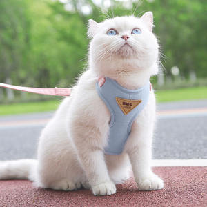 可定制设计防丢失逃逸猫背带和皮带套装可调透气宠物小狗背带猫狗 - Product Image 1