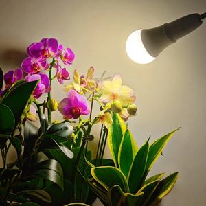 Luz LED de Espectro Completo de 11W para Cultivo de Plantas, Base E26, Bombilla para Crecimiento Interior, Adecuada para Flores, Invernaderos y Vegetales - Product Image 2