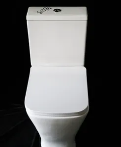 Factory Supplied Customized P-trap Water Closet Flush 2 Piece Toilet For Sale