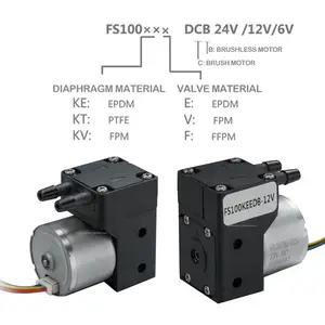 20 ml/min 12V 24V DC 소형 브러시리스 모터 펌프 PTFE 다이어프램 산업용 휴대용 마이크로 전자 워터 펌프