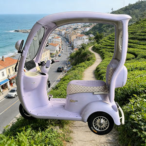 Triciclo Eléctrico Abierto de 351-500W y 60V (Aprobado por DOT), Autonomía de 50-70km, Cómodo para 2 Pasajeros, Ideal para Explorar Ciudades Costeras y Jardines de Té - Product Image 1