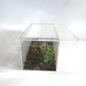 Reptile Crawling Pet Acrylic Reptile Display Cases Lizard Cases With Magnetic Lid For Display Only