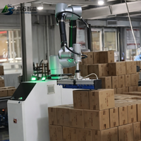 Robot palettiseur Mushi, Cobot palettiseur, Machine de palettisation automatique de cartons, Boissons, Tabac, Aliments, Moteur électrique PLC, Film