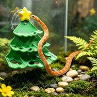 Nouveaux abris pour reptiles sur arbres, ventouses pour sapins de Noël, cachettes, habitats imprimés en 3D pour serpents de maïs et geckos