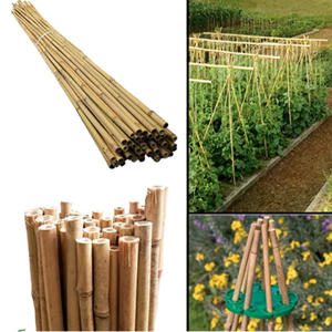 Pôles en bambou écologiques pour l'agriculture et le jardinage, tailles personnalisables, clôture de sécurité et support pour vignes - Product Image 4