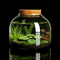 Terrarium en verre borosilicate transparent avec couvercle en liège pour plantes succulentes, mousse, hydroponie et petit aquarium - Décoration de bureau