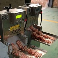 Snijmachine Master Rasp Machine/Fruit-En Groentesnijmachine Hakmachine/Vleessnijmachine Restaurant Vleessnijmachine