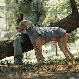 Custom <strong>Dog</strong> Pet Clothes Quilted Cat Apparel Jacket Cute Small Brand <strong>Winter</strong> Large Wholesale Luxury Designer Pet <strong>Coat</strong> - Product Image 1