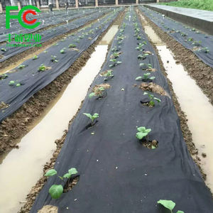 Pp tissu non tissé <span class=keywords><strong>tapis</strong></span> de mauvaises herbes <span class=keywords><strong>anti</strong></span>-herbe couverture légumes sol protéger tissu - Product Image 1