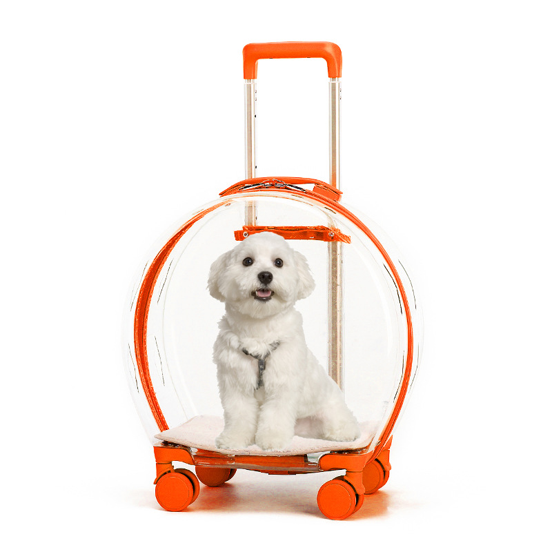 Orange-entièrement transparent