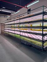 Système hydroponique vertical personnalisé à étages pour la production de fourrage intérieur : système de plateaux pour l'orge, le maïs et le blé destiné à l'agriculture