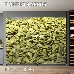 Graines de Courge Crues Séchées Non Transformées à Usage Alimentaire - Product Image 3