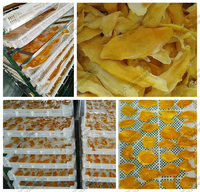 China Voedsel Droogapparatuur Mango Citroen Sinaasappel Banaan Fruit en Groente Droogmachine