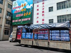 Dầu nền hạt mẫu đơn nguyên chất bán buôn số lượng lớn, dầu Paeonia Suffruticosa, chiết xuất thảo dược chăm sóc sức khỏe dùng cho mỹ phẩm, xà phòng, nến - Product Image 4