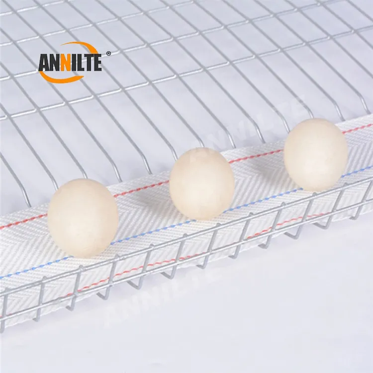 Annilte Ei-förderband auf Hühnerstall im Legehühnchen-Aufbau, 1,2 mm Ei-förderband Großhandel