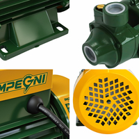 Pompe centrifuge électrique auto-amorçante QB80 750W 1HP pour eau claire, idéale pour l'irrigation domestique et de jardin (OEM)