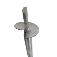 Pieux à vis de galvanisation à chaud en acier de 60x1500mm pour les serres de jardins d'hiver de terrasses