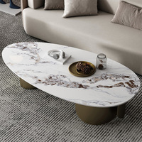 Table basse de style nordique moderne et minimaliste avec structure en acier inoxydable et plateau en pierre de forme ovale pour petits appartements
