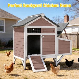 Gallinero de Madera Impermeable con 2 Nidos, Cierres a Prueba de Animales Salvajes, Diseño Elevado, Barra de Descanso, Para Todas las Estaciones, Jardín y Granja Urbana - Product Image 6